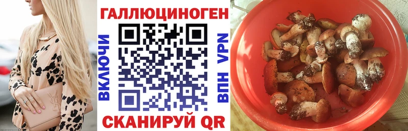 где купить наркотик  Агидель  Псилоцибиновые грибы мухоморы 
